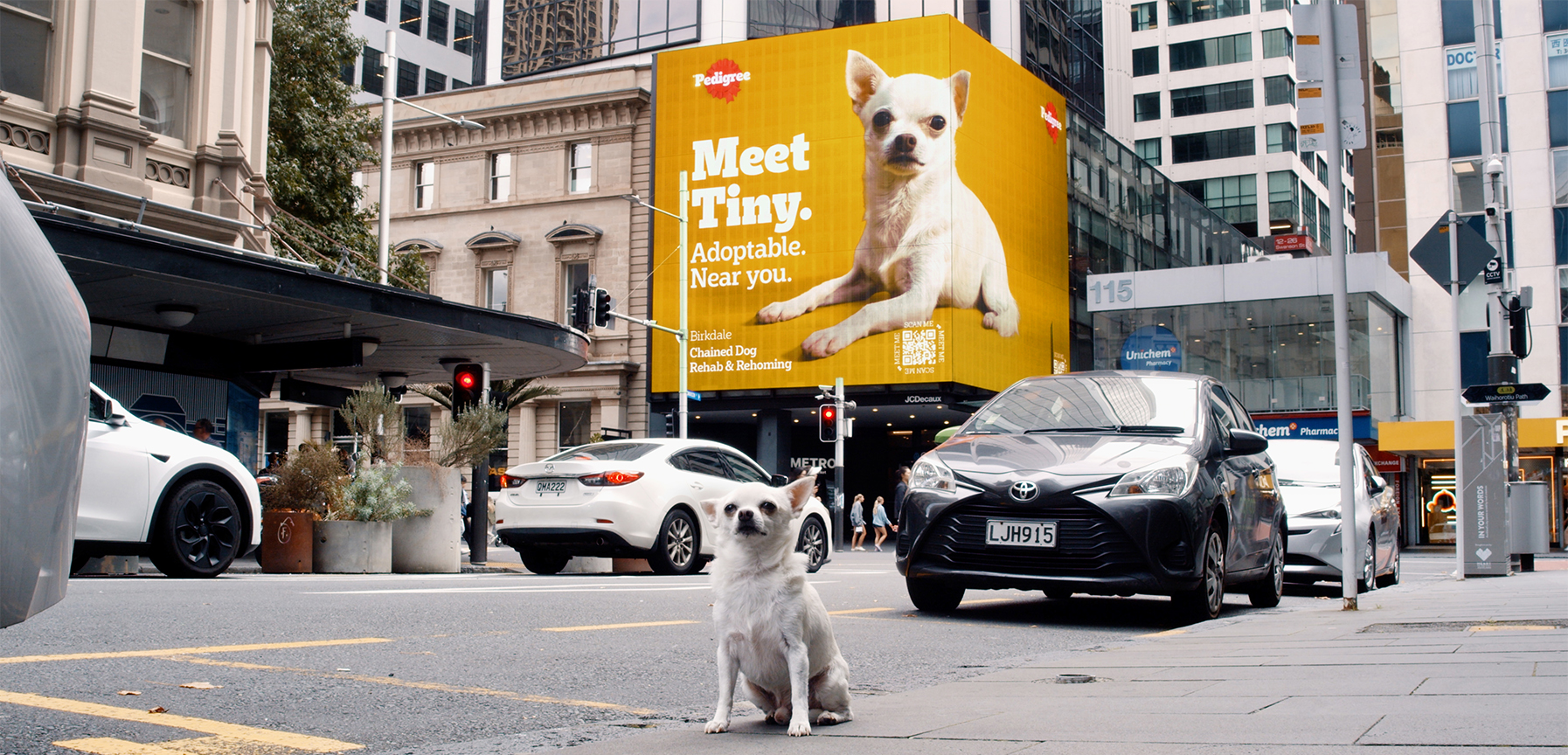 Pedigree Adoptable billboard featuring Tiny the Chihuahua